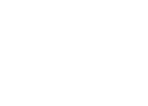 SEVENTH STORM